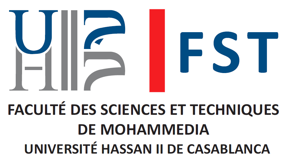 FSTM Logo